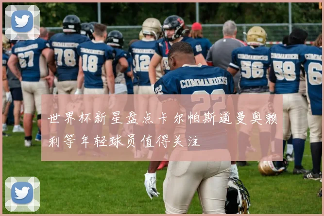 世界杯新星盘点卡尔帕斯道曼奥赖利等年轻球员值得关注