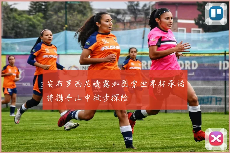 安布罗西尼透露加图索世界杯承诺将携手山中徒步探险